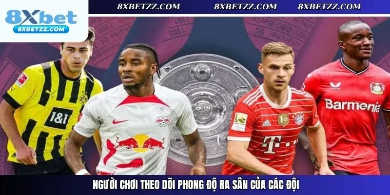 Người chơi theo dõi phong độ ra sân của các đội